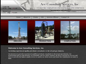 web design for Ace Consulting Services, Inc.