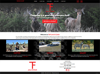 web design for Taff Land and Cattle