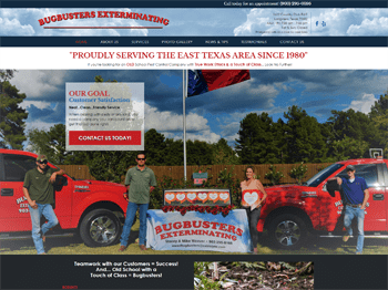 web design for Bugbusters Exterminating